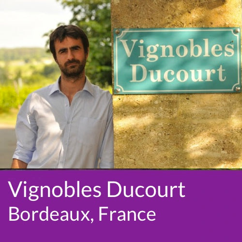Vignobles Ducourt, Bordeaux