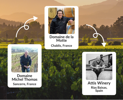 Meet the New Wineries we started working with  in 2025