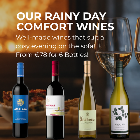 Our Rainy Day Comfort Wines 🍷
