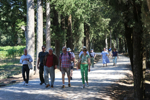 Postcards from Tuscany: Our 2026 Wine Tour