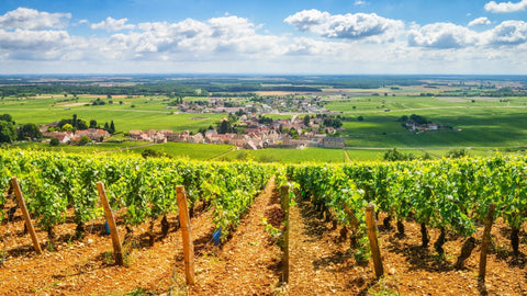 Our Burgundy Picks For Christmas 2025