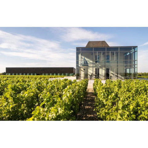 Chateau Pedesclaux, Grand Cru Classé 2022