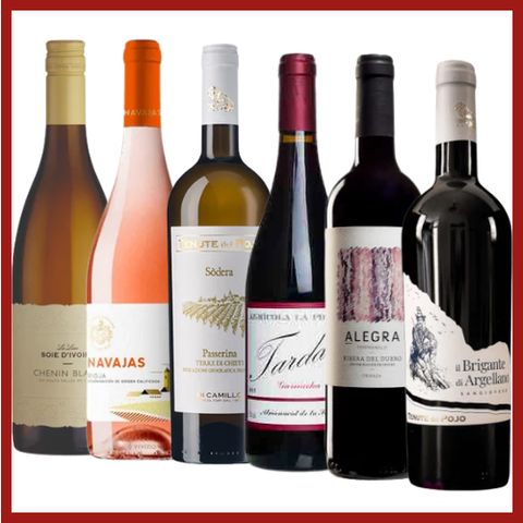 Essential Spring Case | 12 Bottle Case