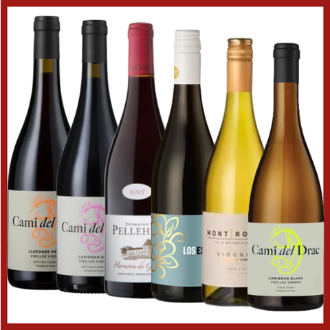 Essential Discovery Case | 12 Bottle Case