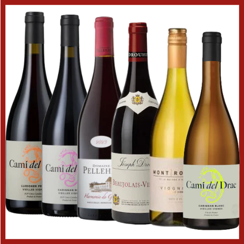 Essential Discovery Case | 12 Bottle Case