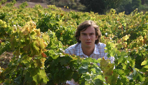 Bodegas Manzanos, Rioja