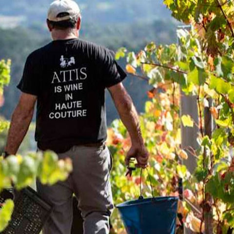 Attis Fine Lees Albarino