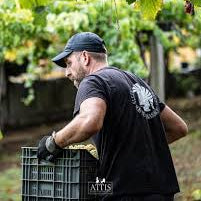 Bodegas Attis, Rías Baixas