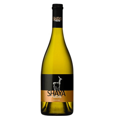 Shaya Habis Verdejo