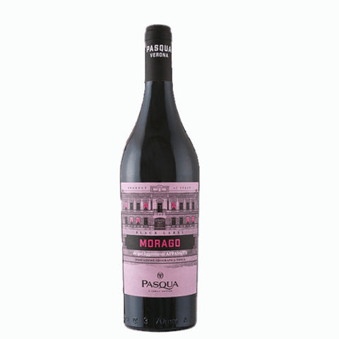 Pasqua Morago Appassite Single Bottle